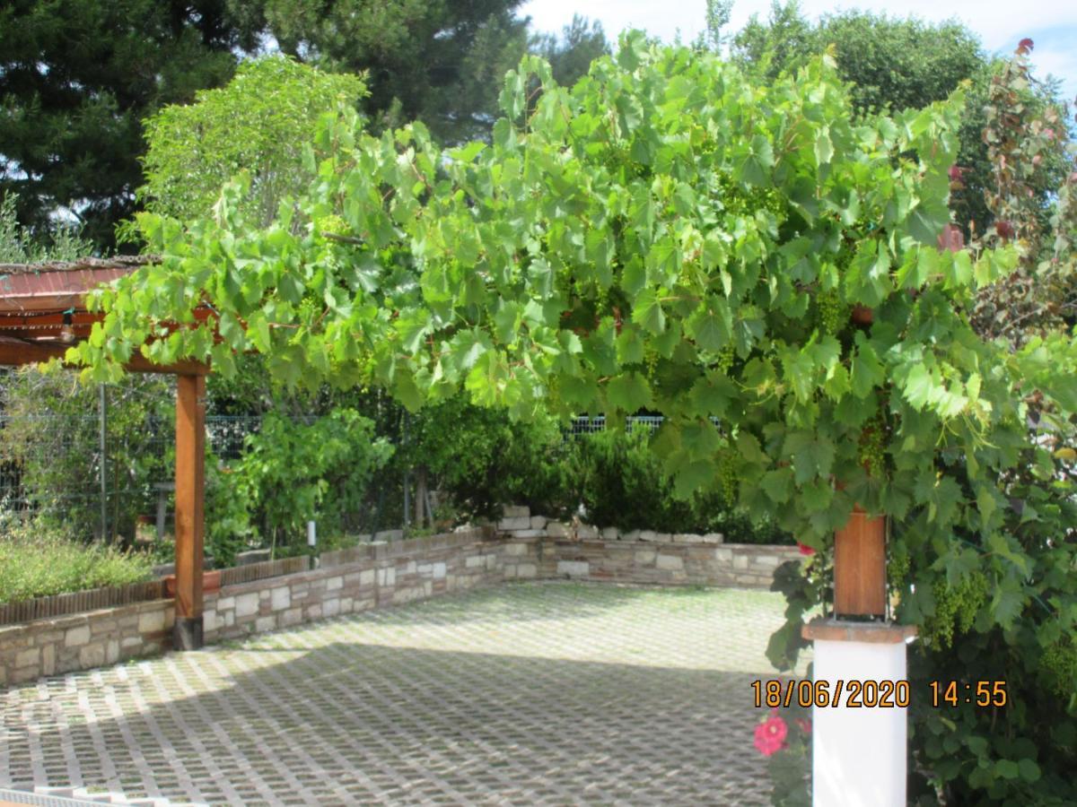 B&B Capo Le Vigne Сіроло Екстер'єр фото