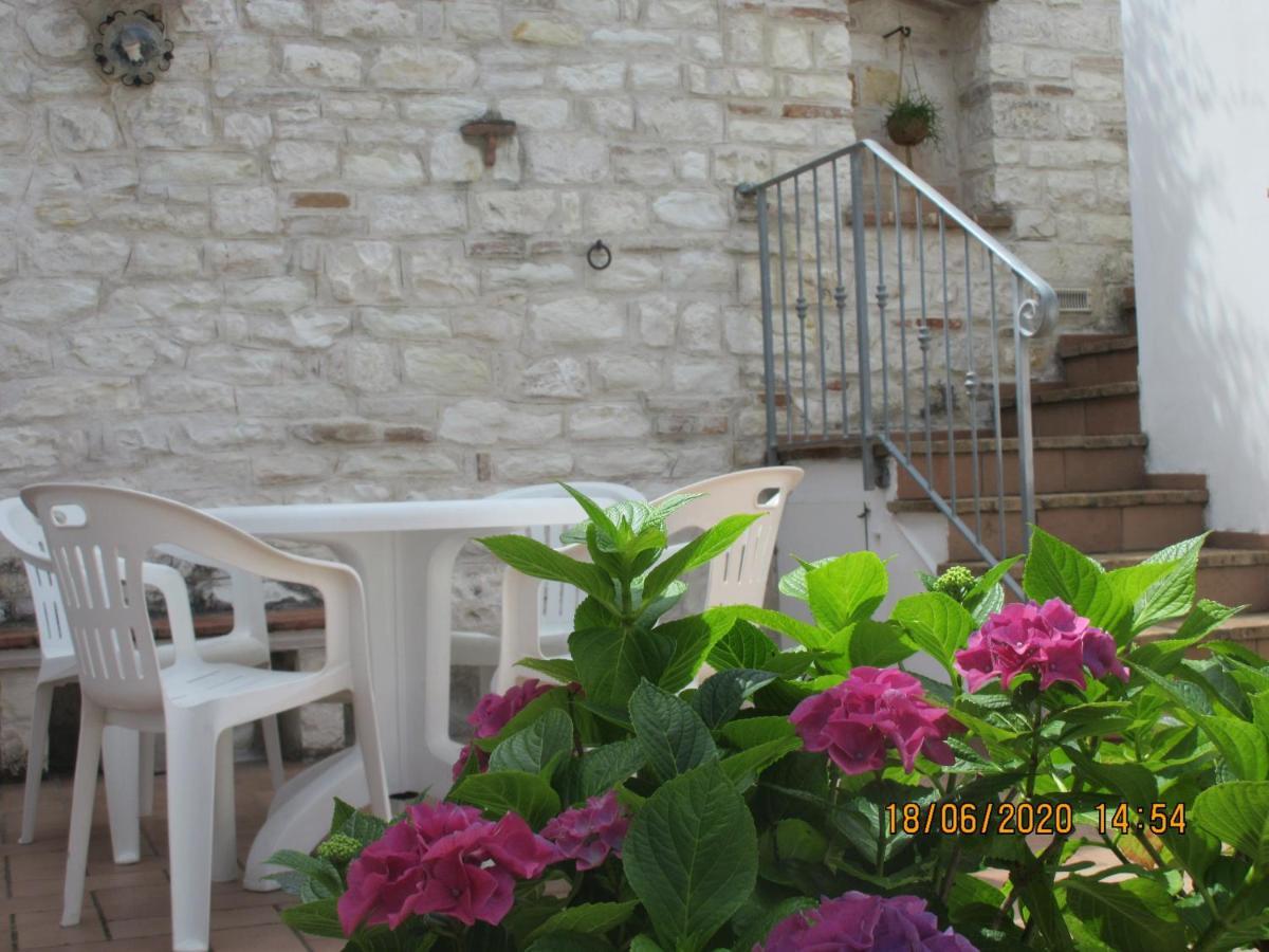 B&B Capo Le Vigne Сіроло Екстер'єр фото